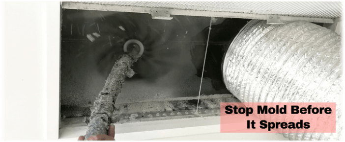 Air Duct Mold Removal in Chicago