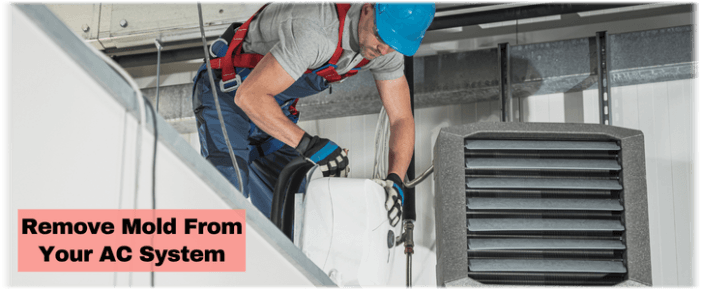 HVAC Mold Removal Chicago